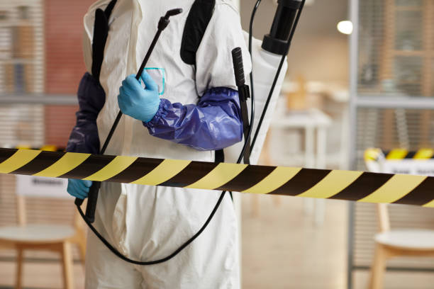 Professional Hoarding Cleanup technician working in Sanborn, NY